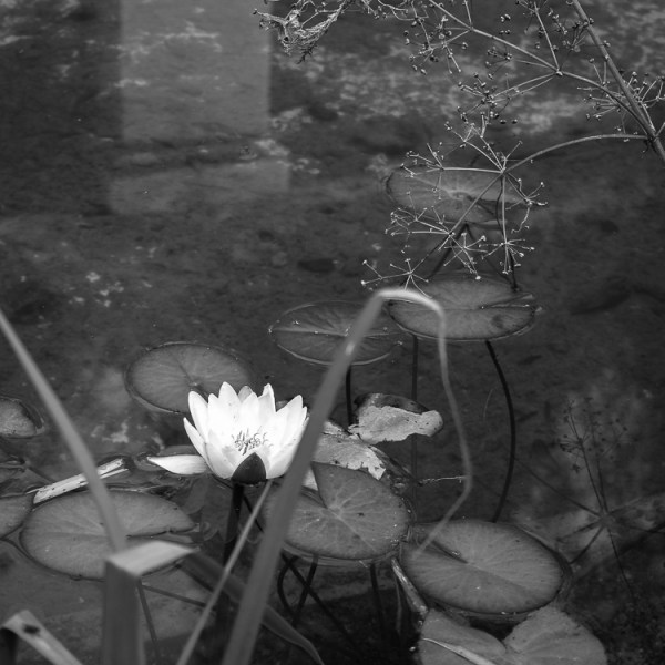 2020, ¿año para olvidar o para&nbsp;recordar?